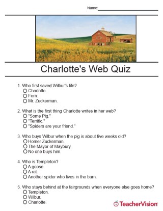 essay questions for charlotte's web